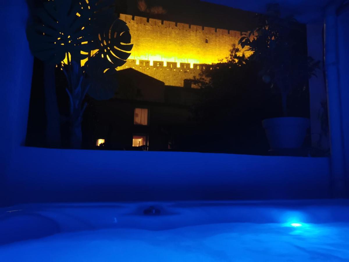 Le Cellier De Beaulieu, Au Pied De La Cite, Maison De Vacances Avec Climatisation Et Jacuzzi Carcassonne Exterior photo